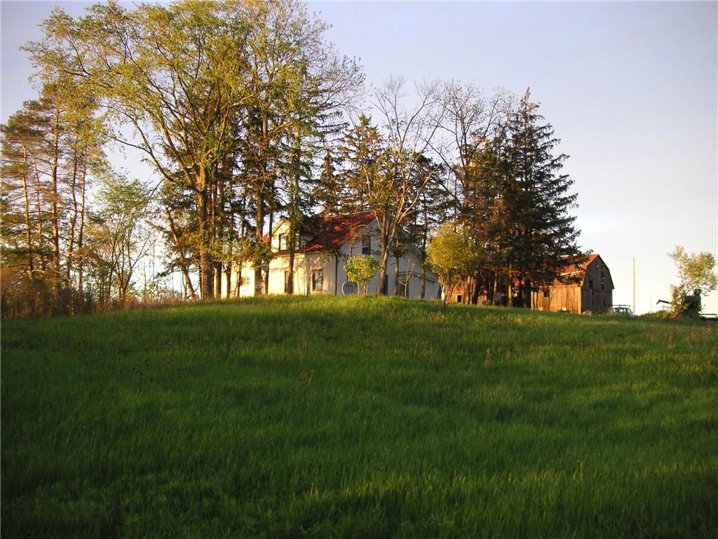 1184 CAISTORVILLE Road, Caistor Centre, Ontario L0R 1E0 (20917132