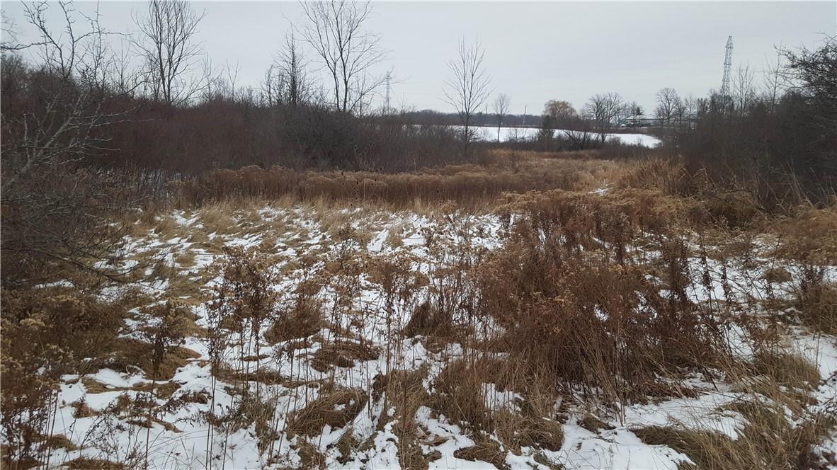 1184 CAISTORVILLE Road, Caistor Centre, Ontario L0R 1E0 (20917132