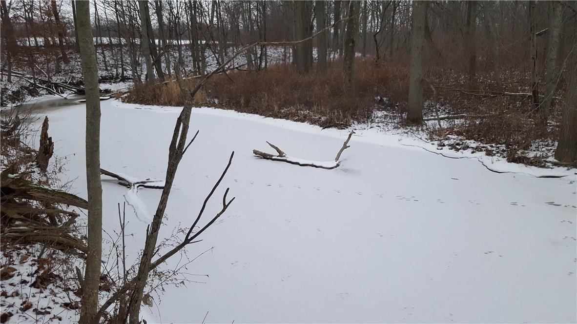 1184 CAISTORVILLE Road, Caistor Centre, Ontario L0R 1E0 (20917132